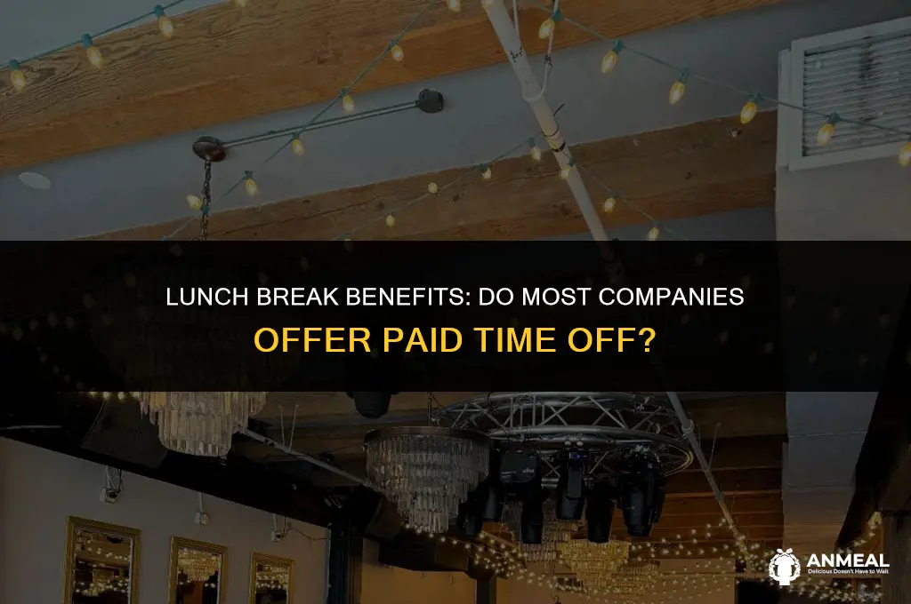 do most companies provide paid lunch leave