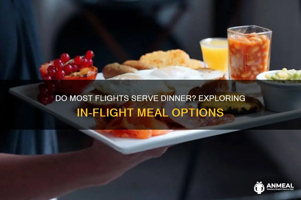 do most flights have dinner