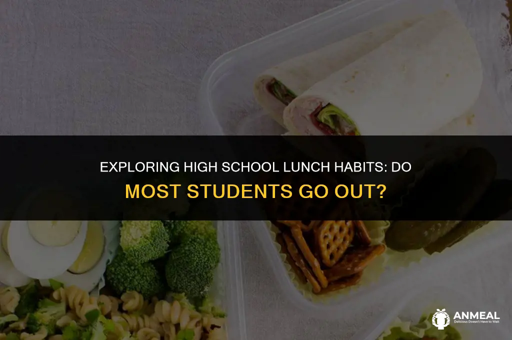 do most highschool go out to lunch