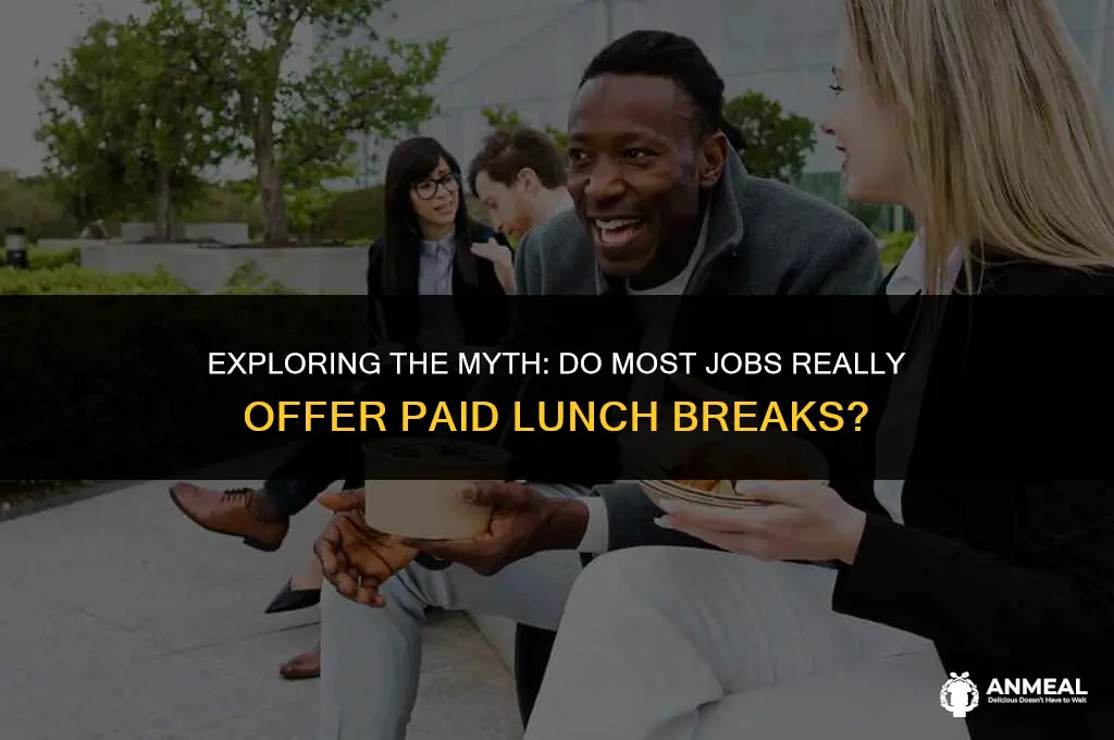 do most jobs have paid lunch