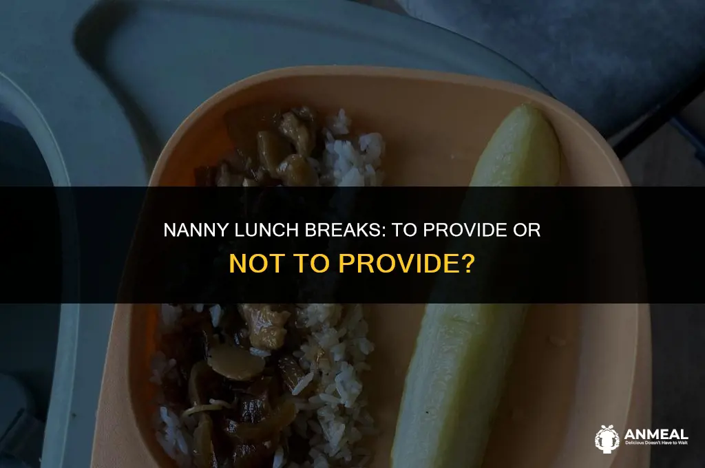 do nannies bring their own lunch