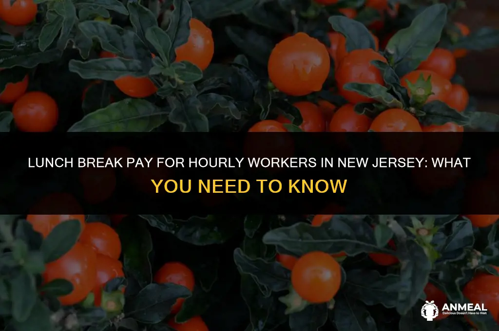 do nj hourly workers get paid lunch