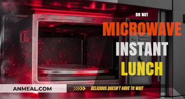 Microwave Mishaps: Why Instant Lunch Should Stay Out of the Nuke