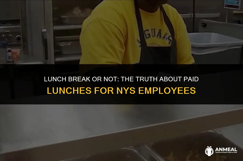 do nys employees get a paid lunch