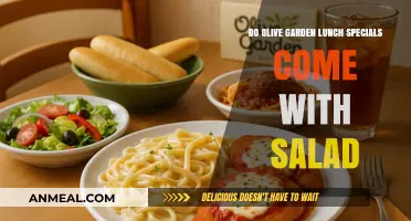 Savoring Olive Garden Lunch Specials: Salad Inclusion Explained