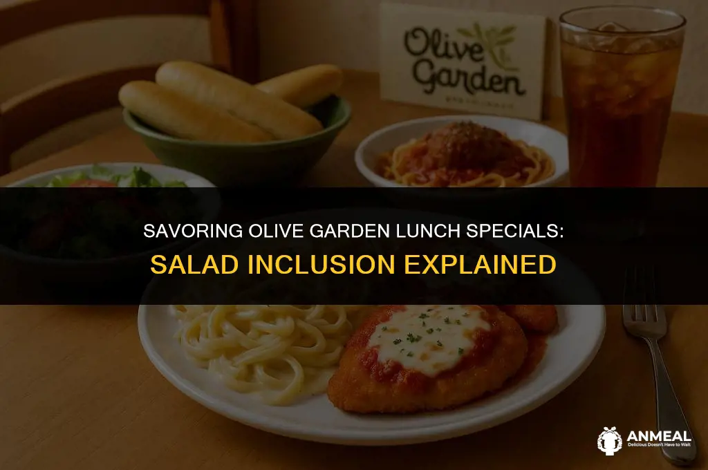 do olive garden lunch specials come with salad