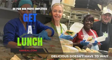 Lunch Break Dilemmas: Paid Non-Profit Employees' Midday Meal Myths