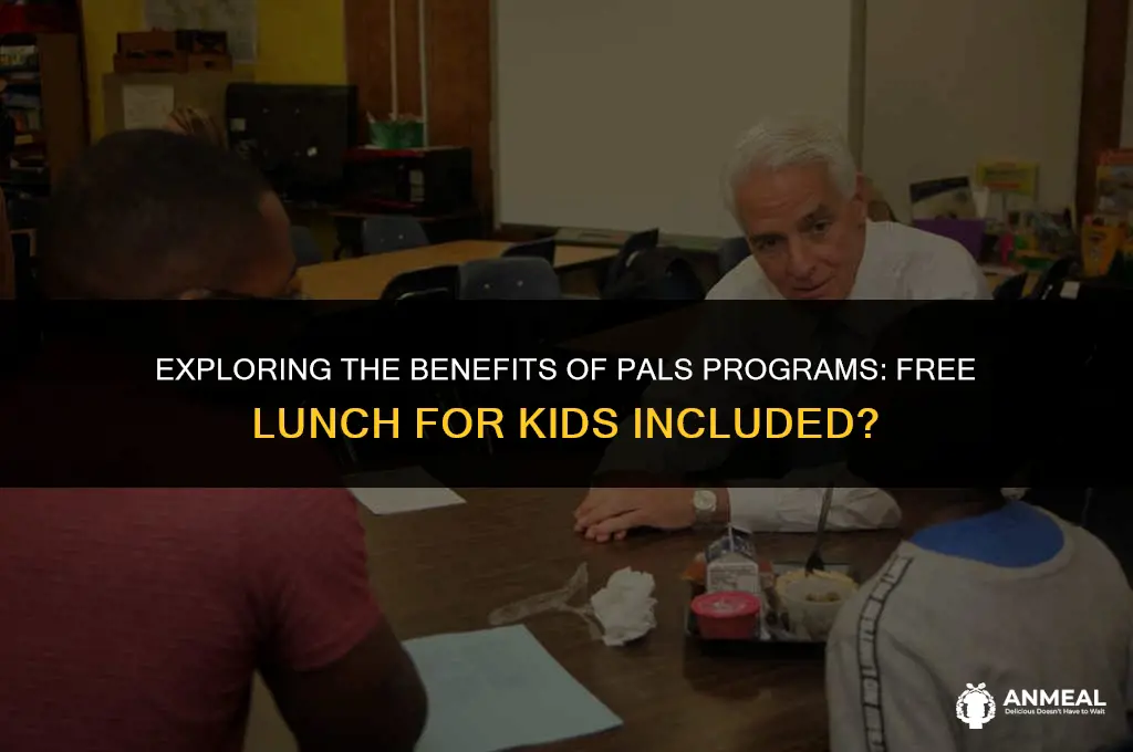 do pals program have lunch fir kids