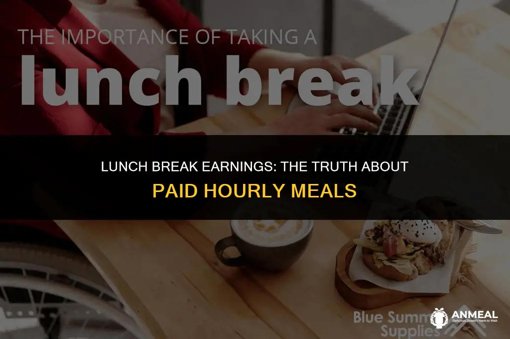 do people get paid for 1 2 hr lunch