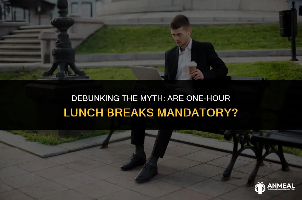 do people have to take 1 hour lunch