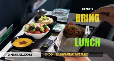 Do Pilots Bring Their Own Lunch? Insights into Airline Meal Policies