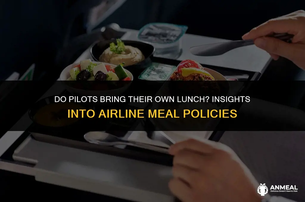 do pilots bring a lunch