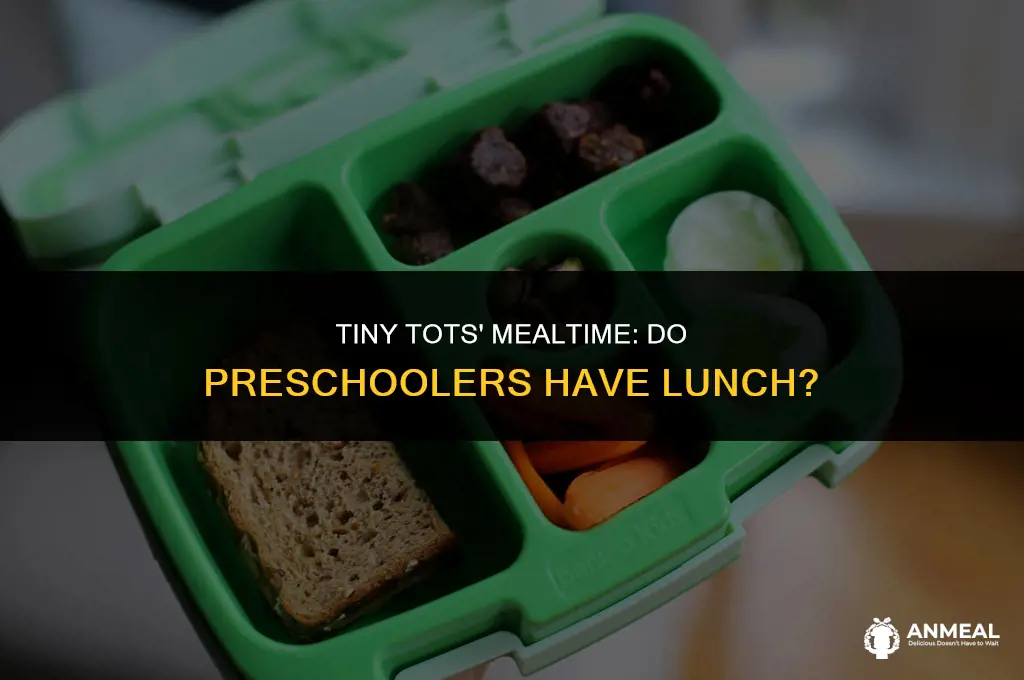 do pre schoolers have lunch