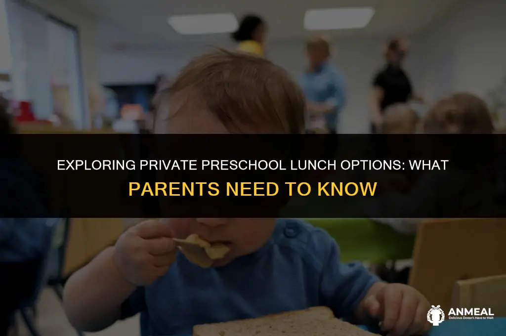 do private preschools provide lunch