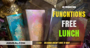 Exploring the Myth: Do Production Functions Offer a Free Lunch?