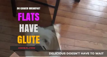 Gluten in Quaker Breakfast Flats: What You Need to Know