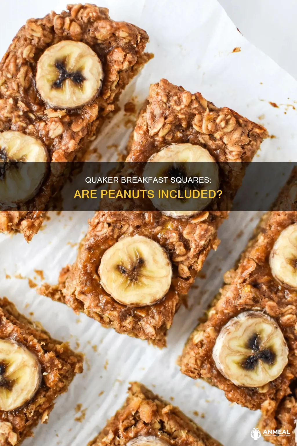 do quaker breakfast squares apple cinnamon contain peanuts