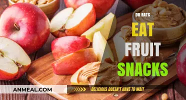 Rats' Sweet Tooth: Do They Really Crave Fruit Snacks?