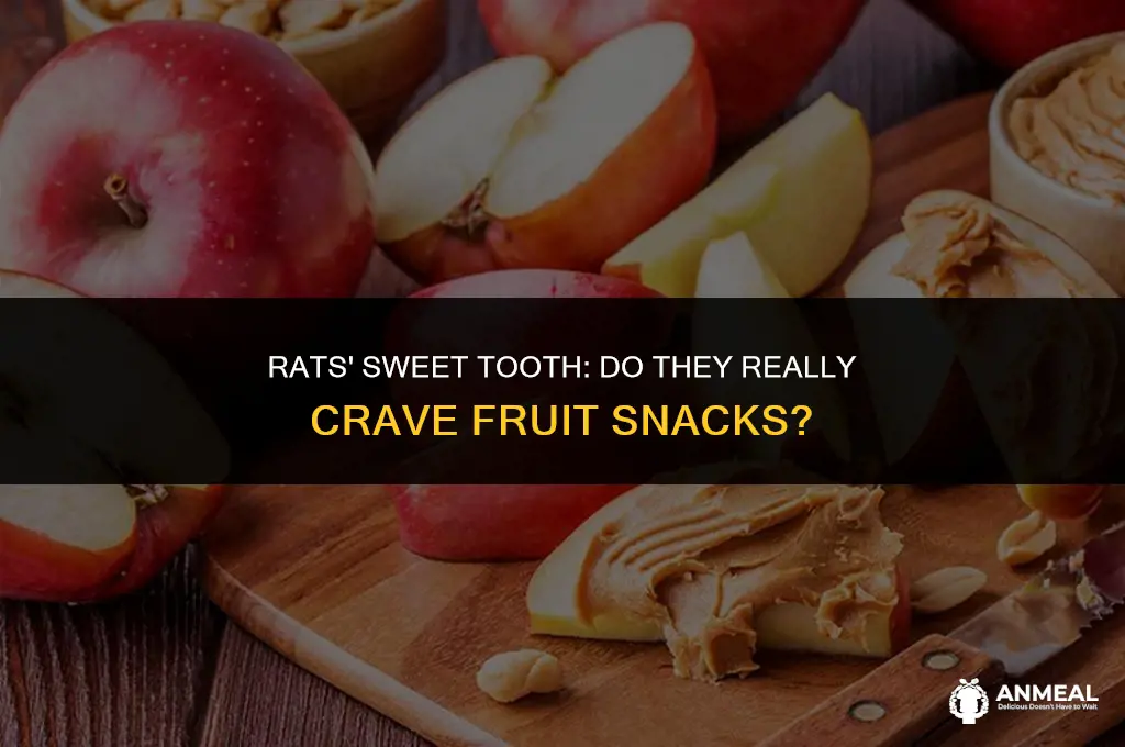 do rats eat fruit snacks