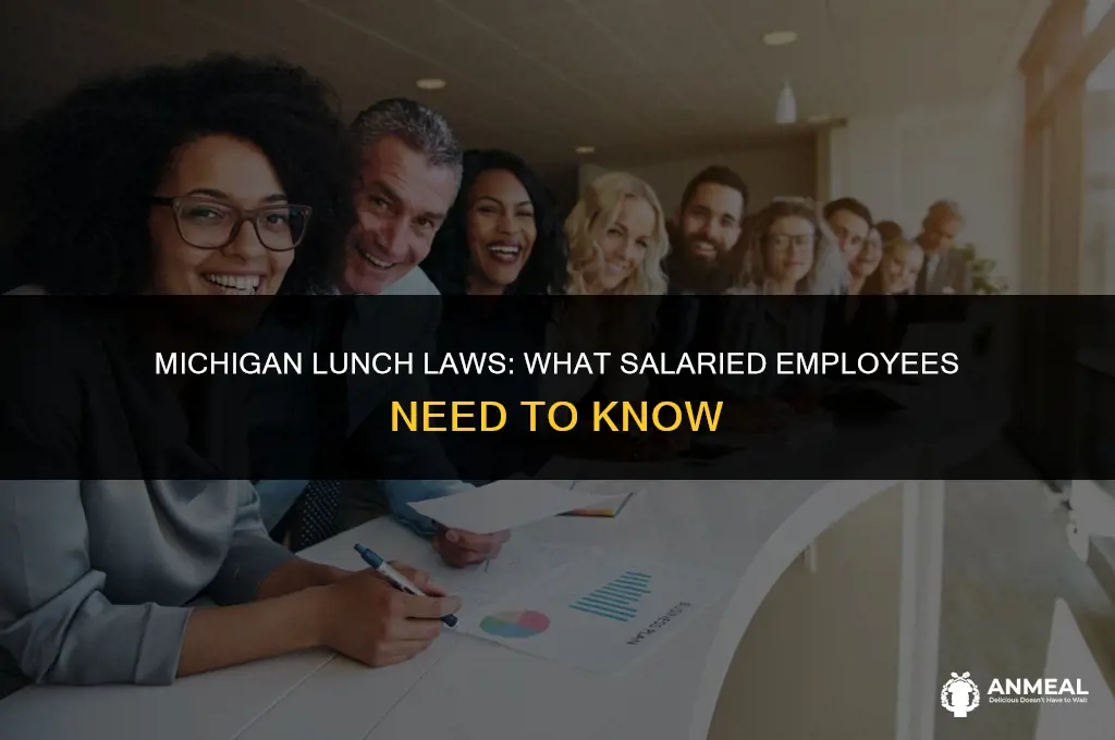 do salaried employees get a lunch in michigan