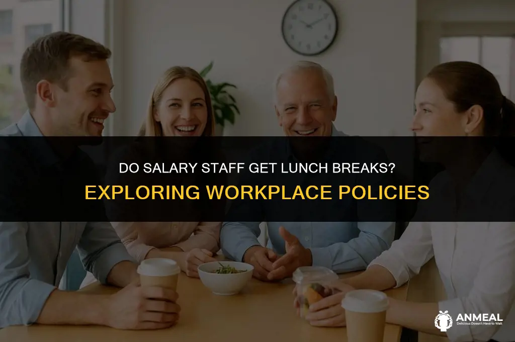 do salary stff get lunch