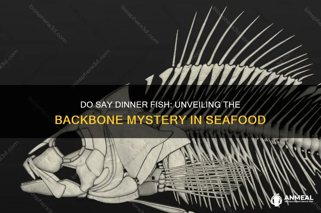 do say dinner fish have a backbone
