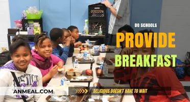 Do Schools Provide Breakfast? Exploring Morning Meal Programs in Education