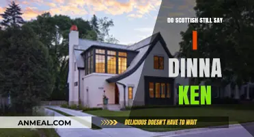 Dinna Ken Still Spoken: Exploring Modern Scottish Vernacular