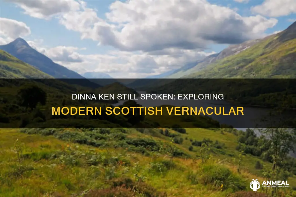 do scottish still say i dinna ken