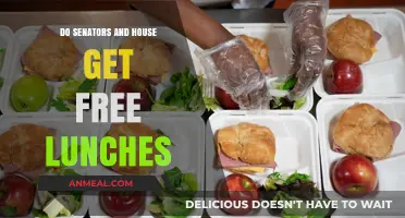 Free Lunches in Politics: A Perk or a Privilege?