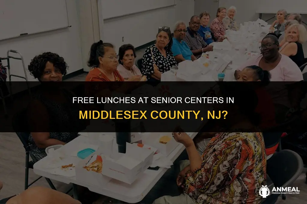 do senior centers in middlesex county nj provide free lunches