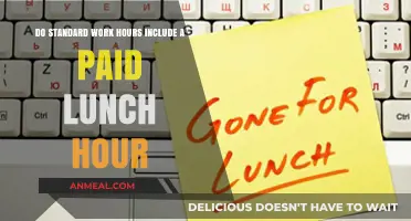 Understanding Standard Work Hours: Does a Paid Lunch Hour Count?