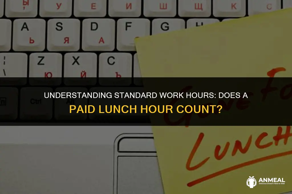 do standard work hours include a paid lunch hour