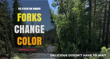 Why Stockton Dinner Forks Change Color: Causes and Solutions Explained