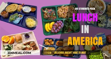 Lunchtime Habits: Do American Students Prefer Packed Lunches?