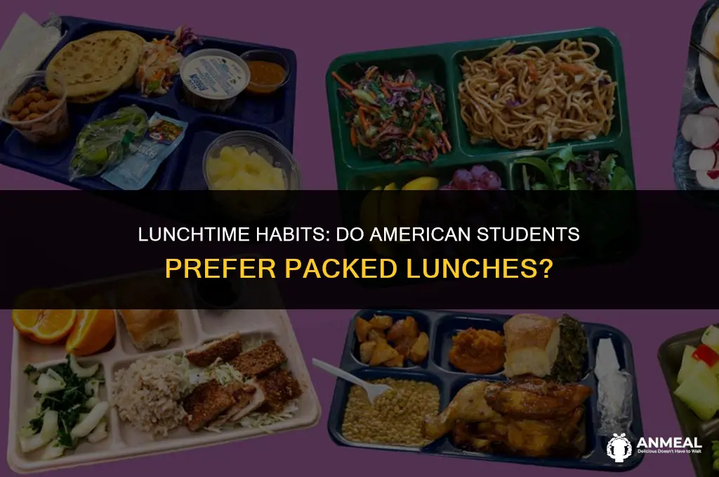 do students pack lunch in america