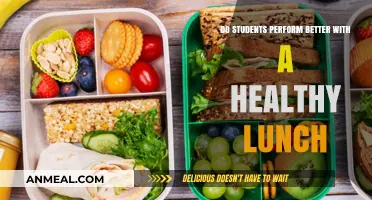 Nourishing Minds: The Impact of Healthy Lunches on Student Performance