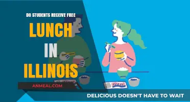Illinois Schools Offer Free Lunch: A Guide for Students and Parents