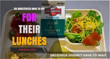 Lunch Break Dilemmas: Do Substitutes Pay for Their Meals?