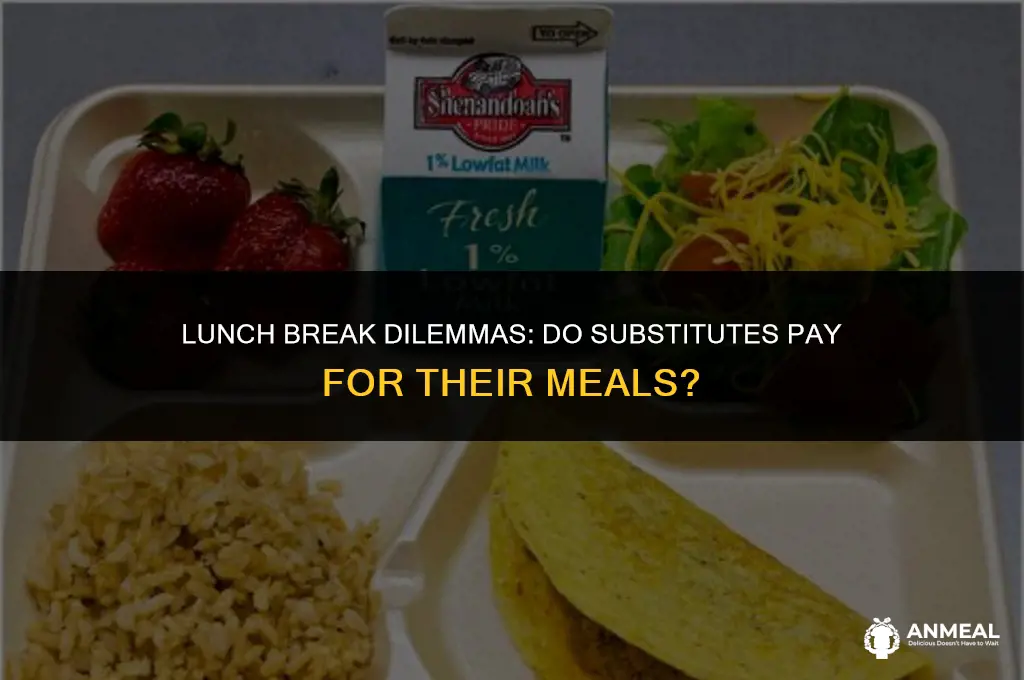 do substitutes have to pay for their lunches