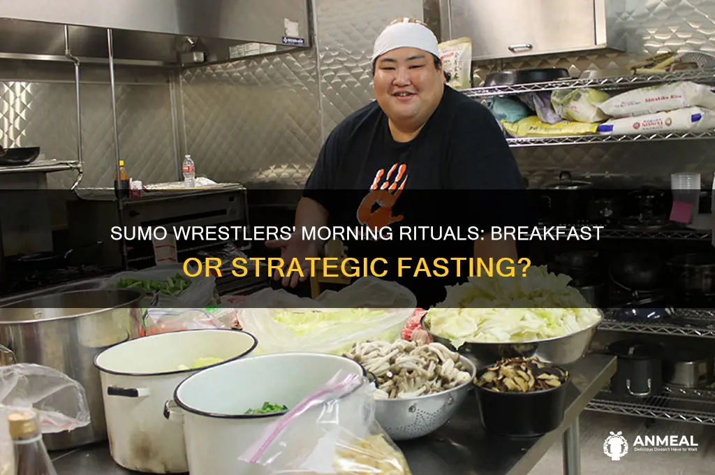do sumo wrestlers skip breakfast