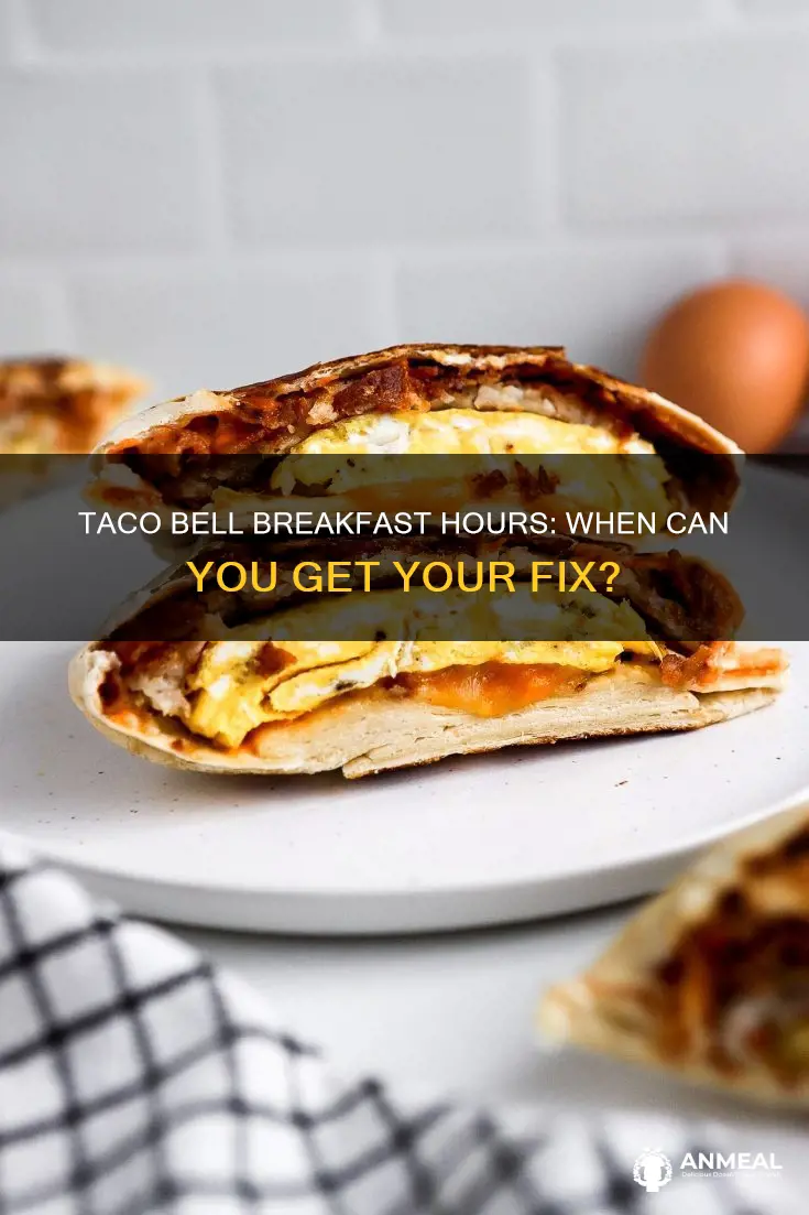 do taco bell