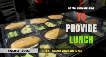 Lunchtime Rules: What Texas Daycares Must Provide