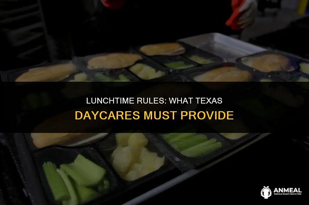 do texas daycares have to provide lunch