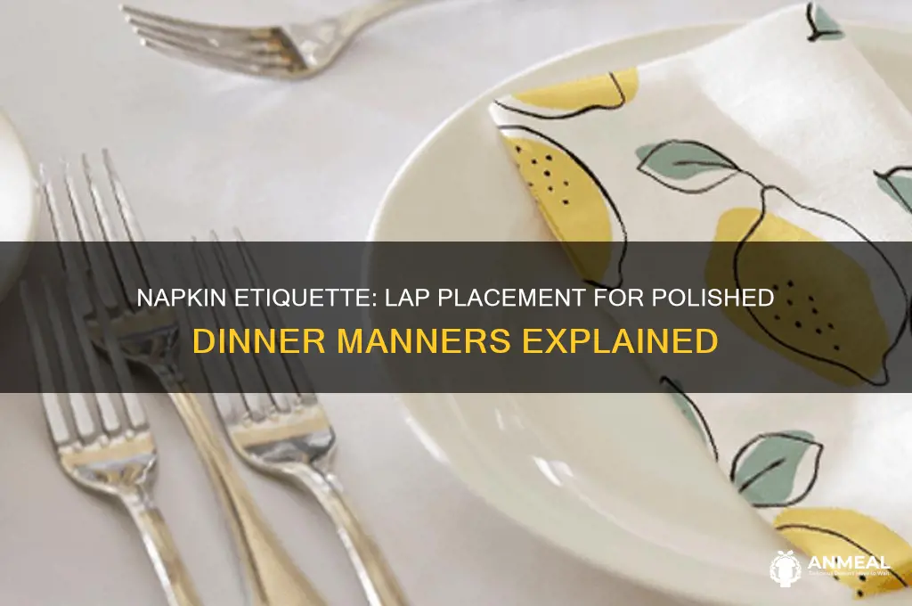do the napkin go on your lap at dinner