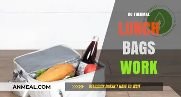 Exploring the Effectiveness of Thermal Lunch Bags: A Comprehensive Guide