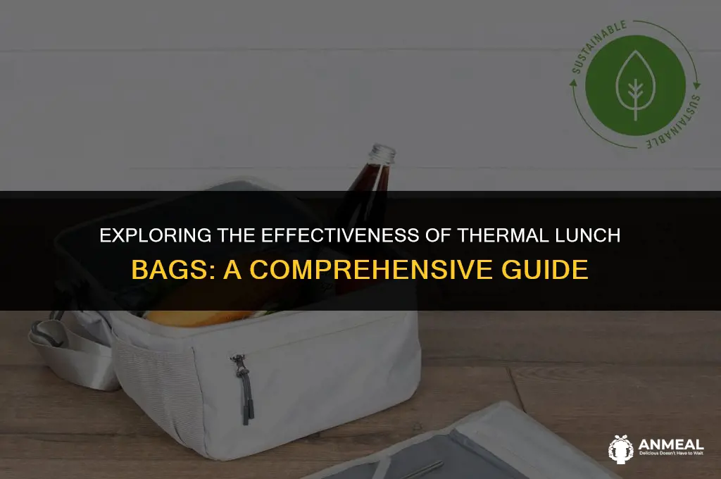 do thermal lunch bags work