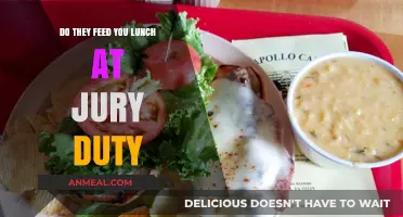 What to Expect: Meals During Jury Duty Explained