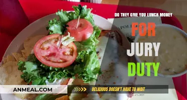 Lunch Money for Jury Duty: What You Need to Know