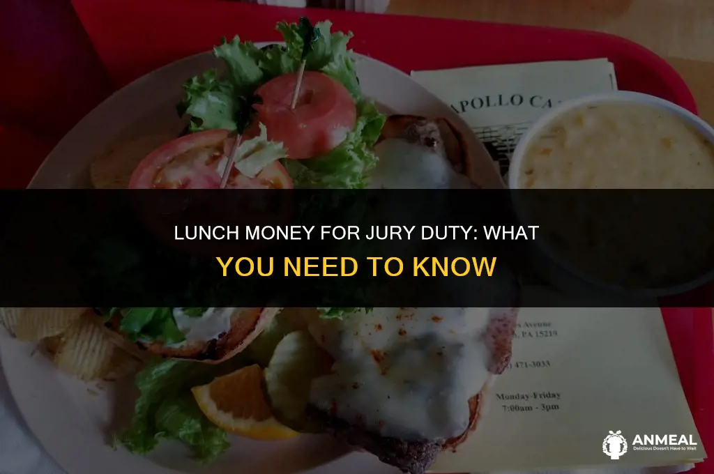 do they give you lunch money for jury duty